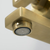 Душевая система WASSERKRAFT Aisch с тропическим душем, с изливом, золотой матовый