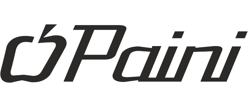 Paini Paini