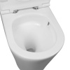 Унитаз напольный CALYPSO CS2149UQ-TKS, 38х60,5, безободковый, торнадо, с сиденьем микролифт
